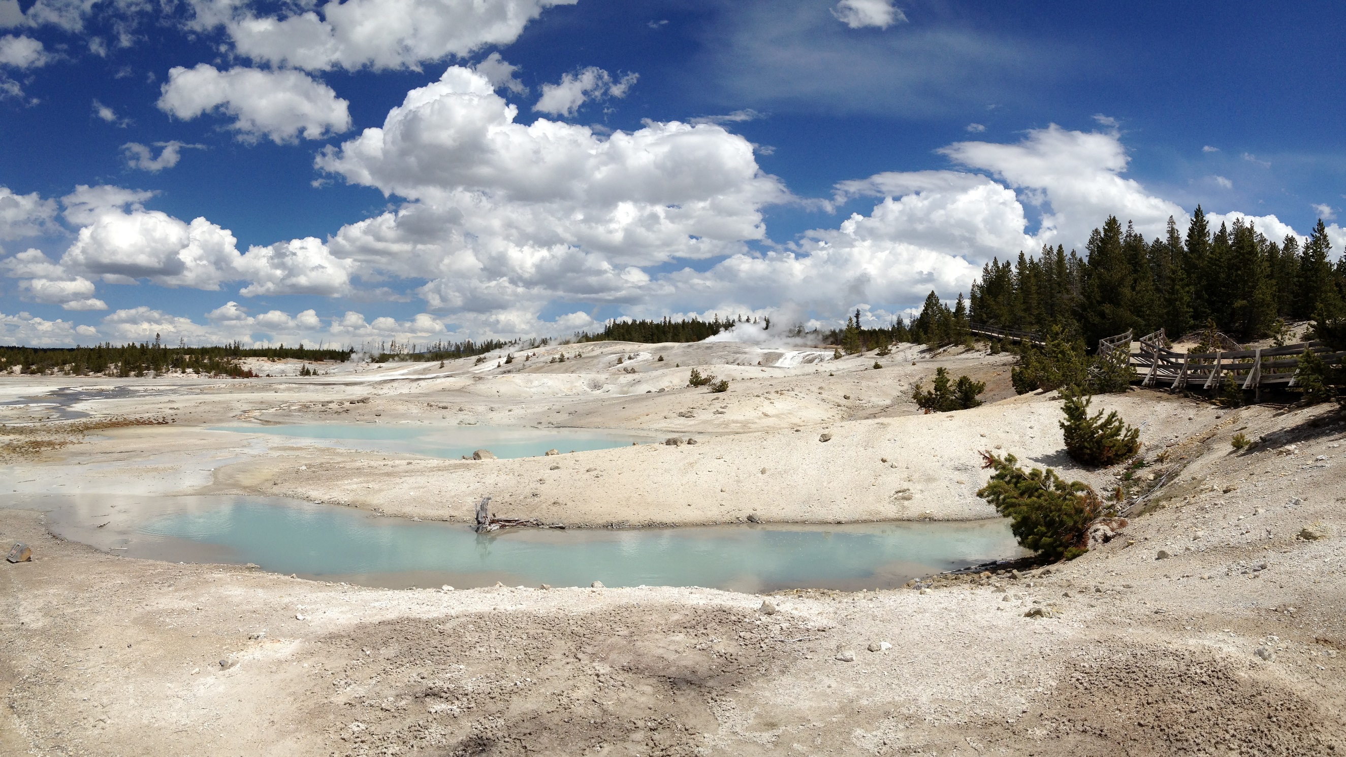 3685 - Wyoming - Yellowstone - small.jpg