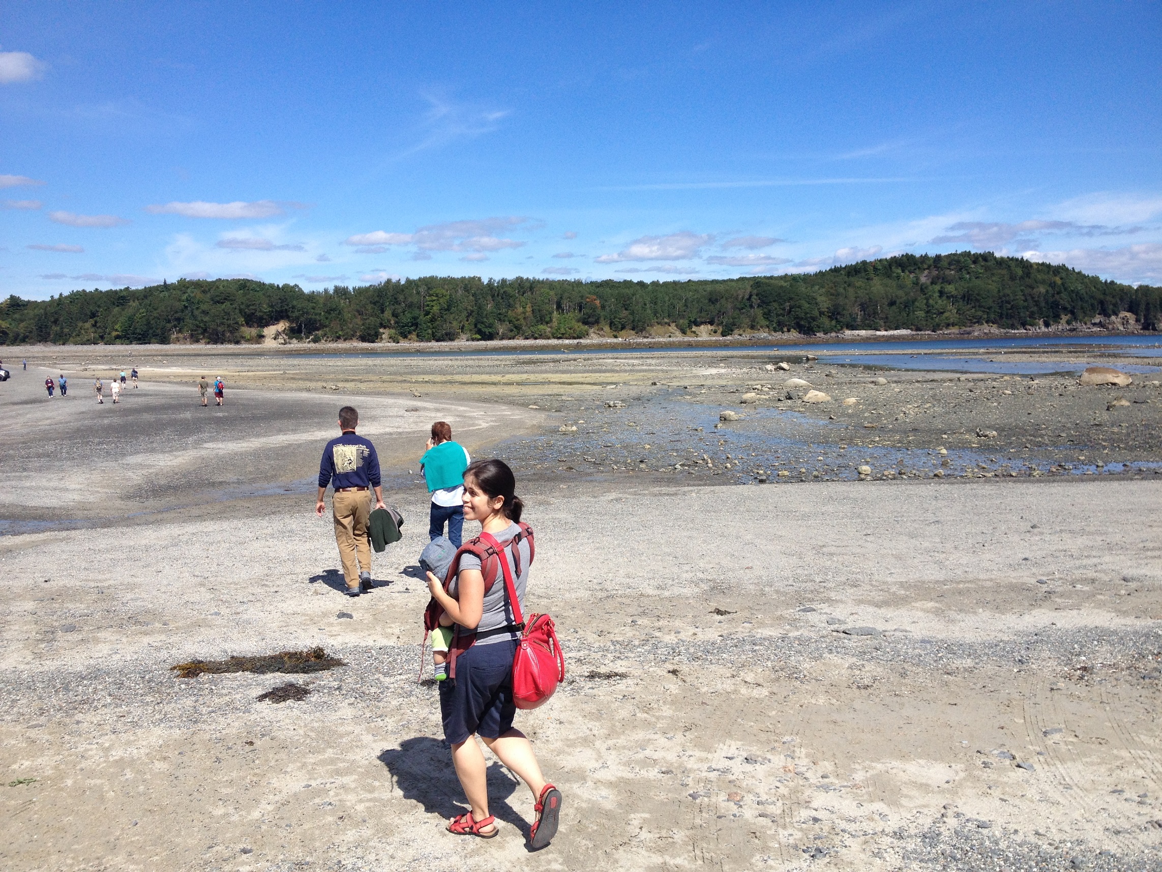 3708 - Maine - Acadia - small.jpg