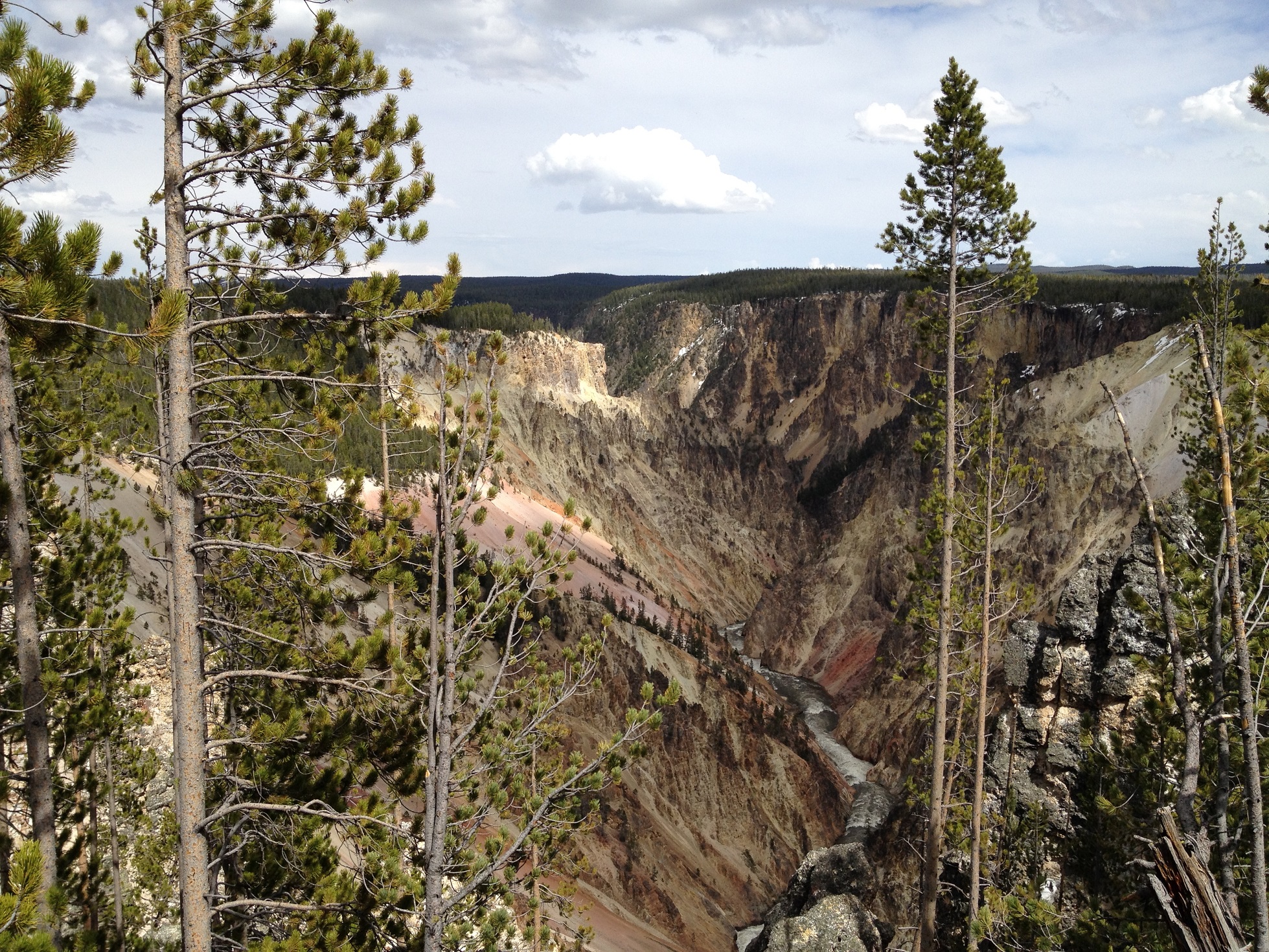 3747 - Wyoming - Yellowstone - small.jpg