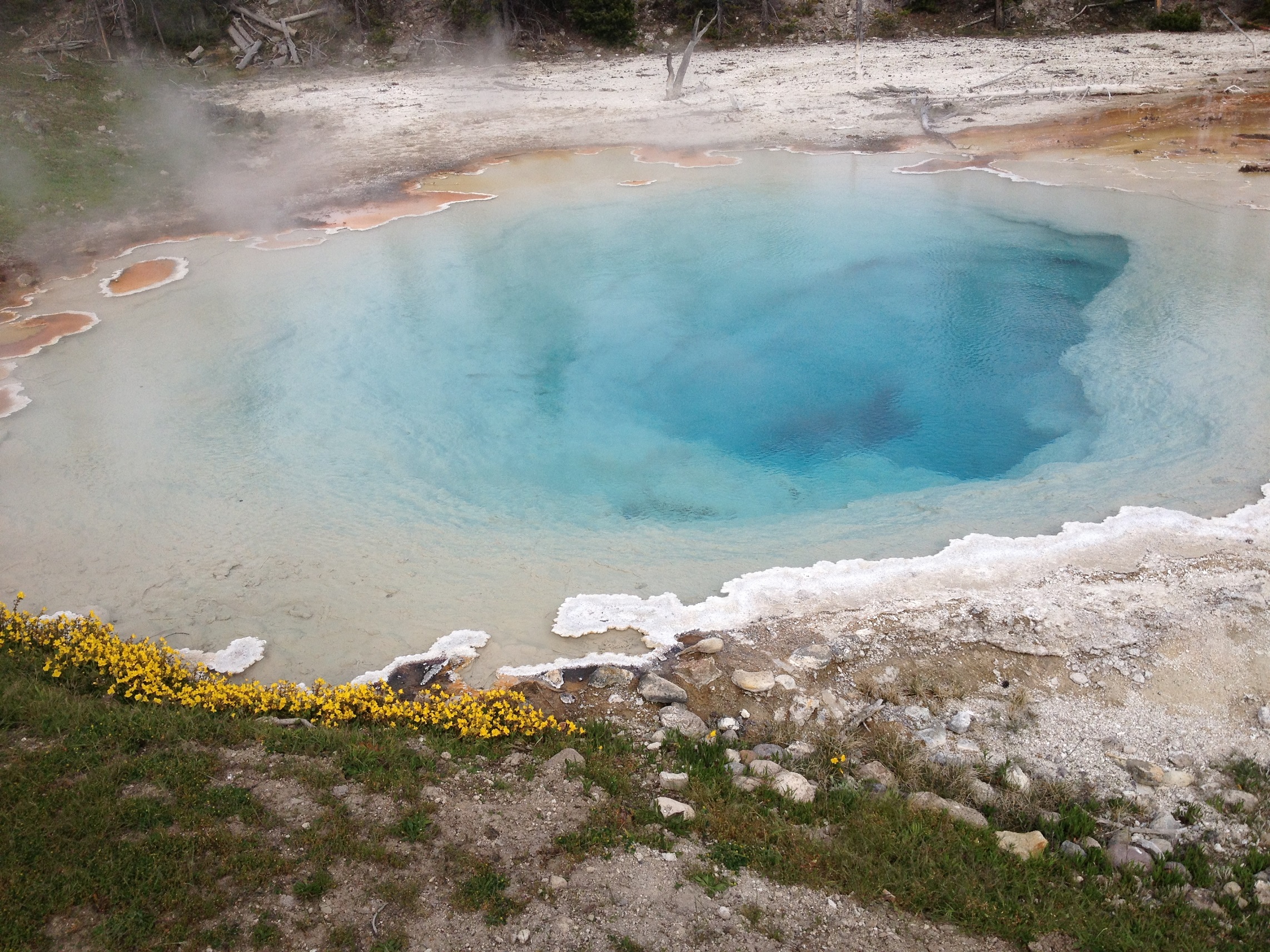 3774 - Wyoming - Yellowstone - small.jpg