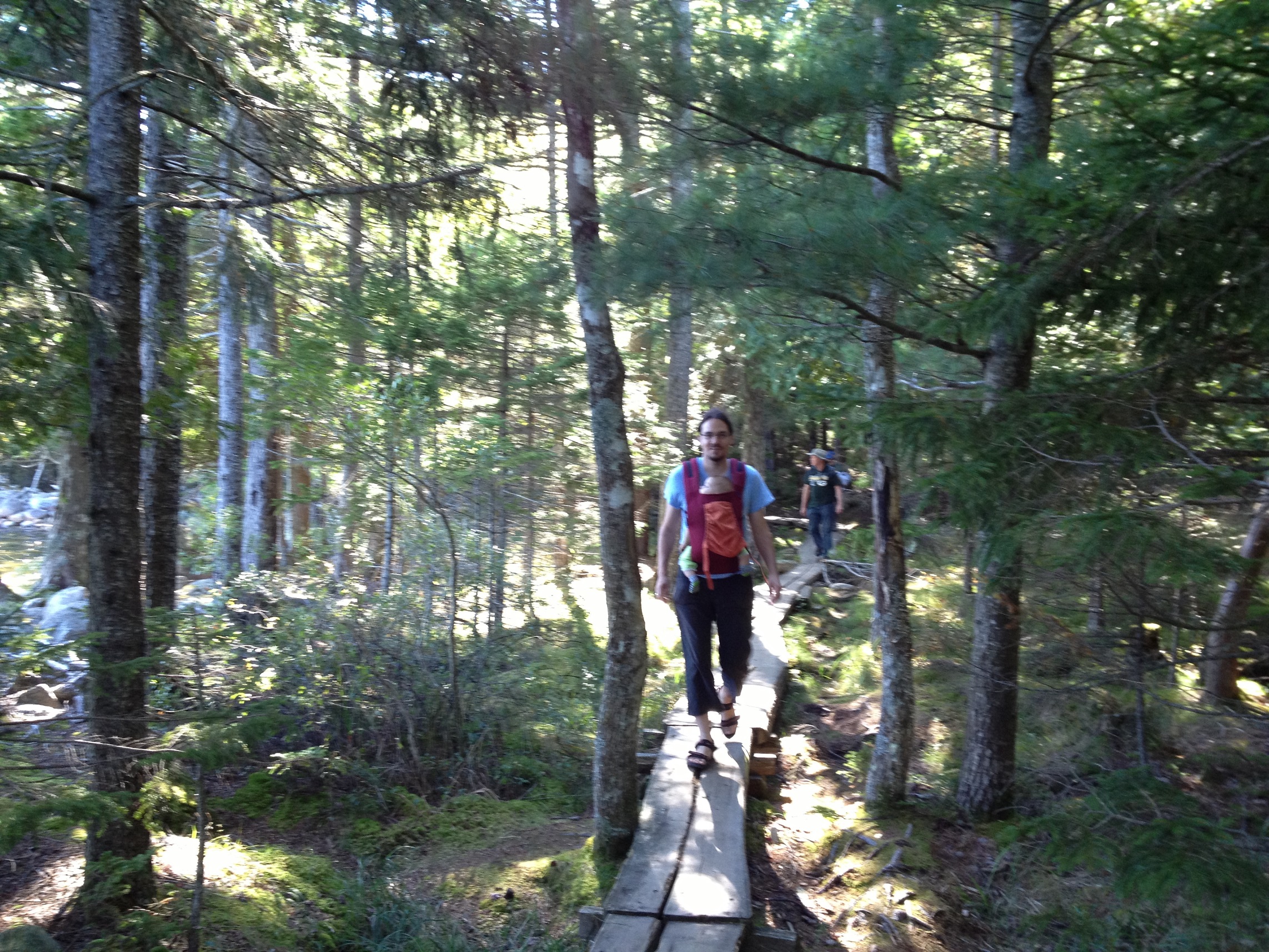 3778 - Maine - Acadia - small.jpg