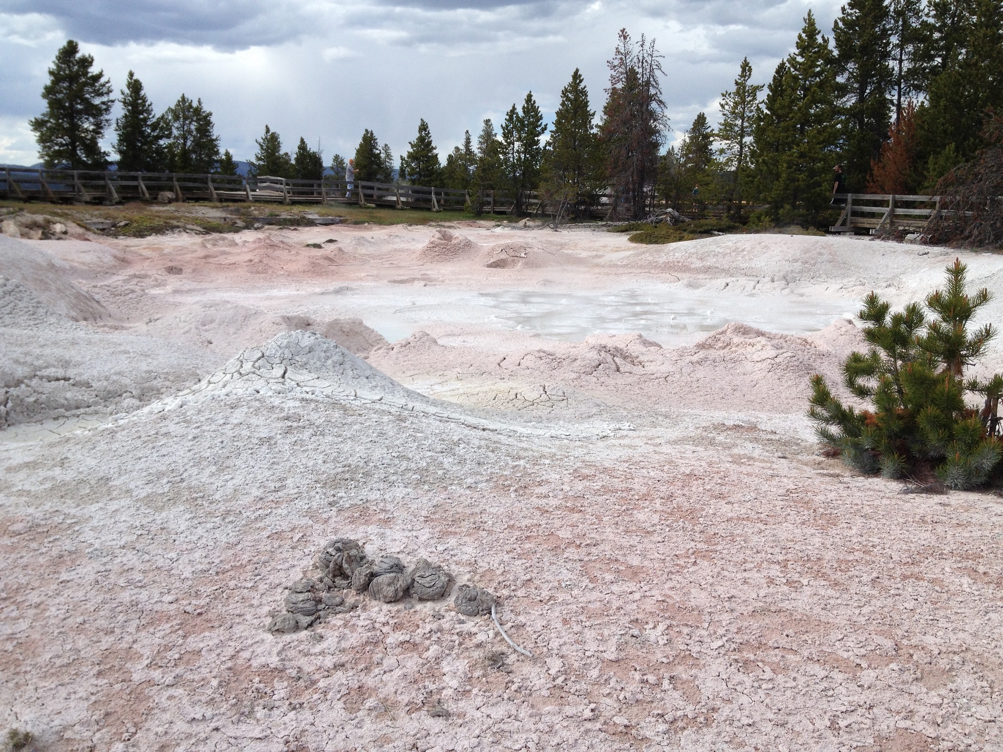 3778 - Wyoming - Yellowstone - small.jpg