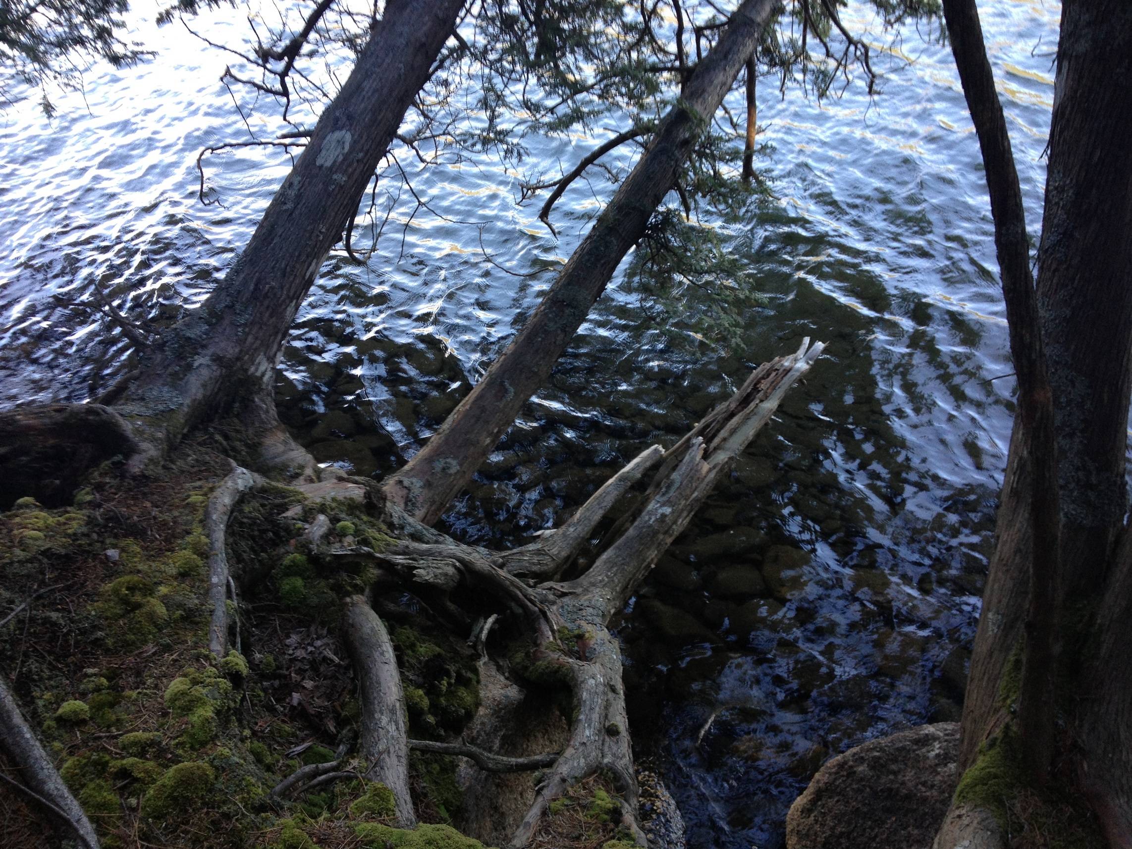 3788 - Maine - Acadia - small.jpg