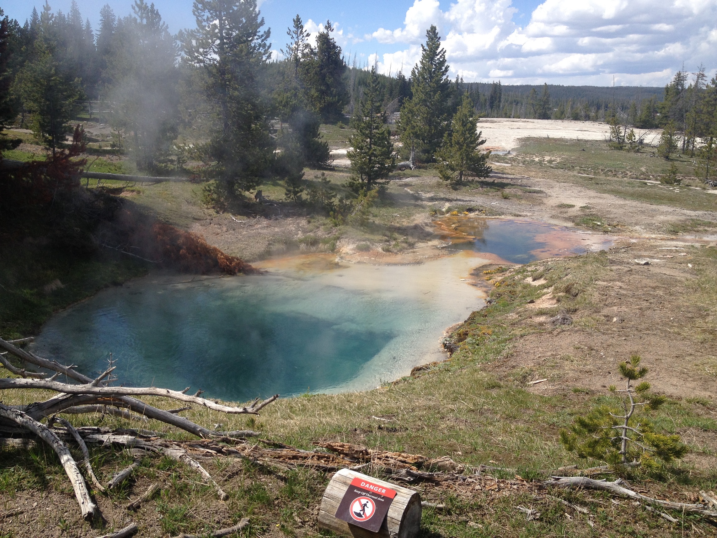 3858 - Wyoming - Yellowstone - small.jpg