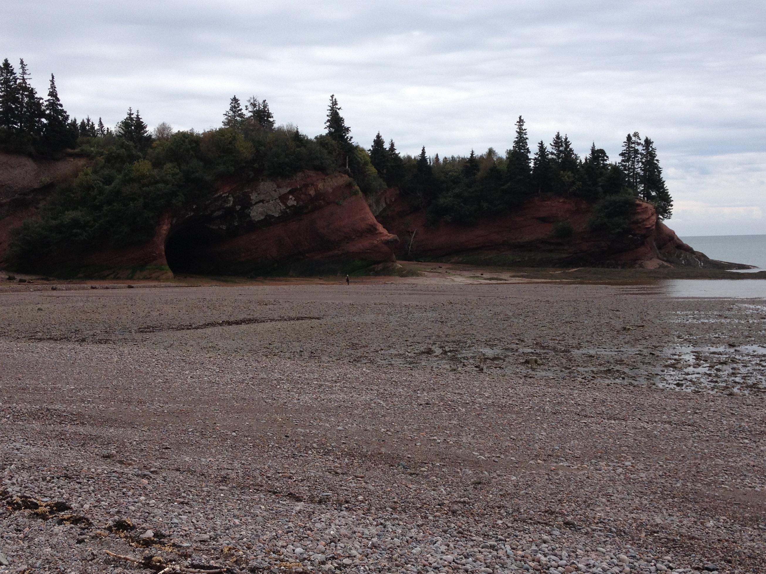 3905 - New Brunswick - Fundy Bay - small.jpg