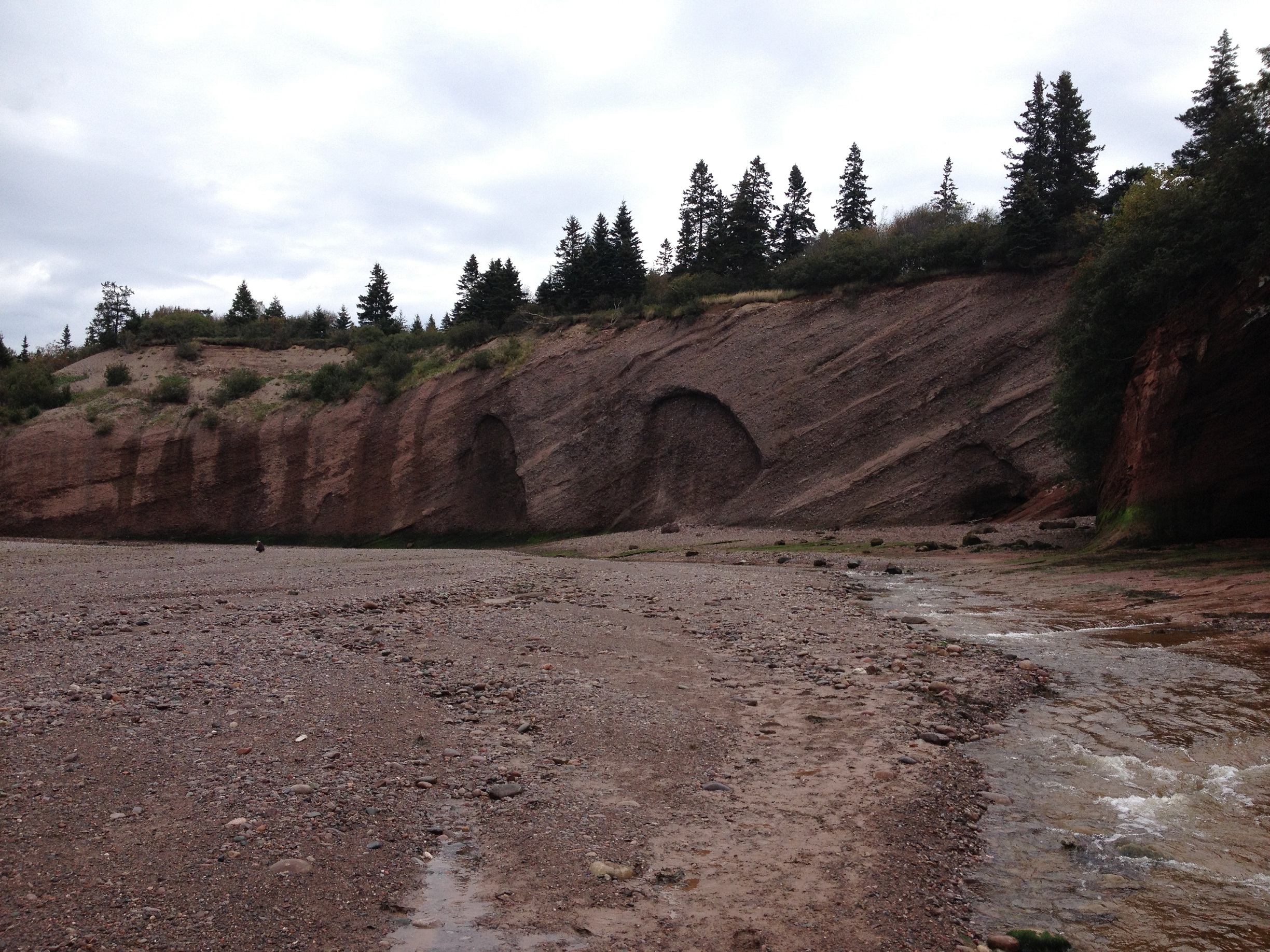 3915 - New Brunswick - Fundy Bay - small.jpg