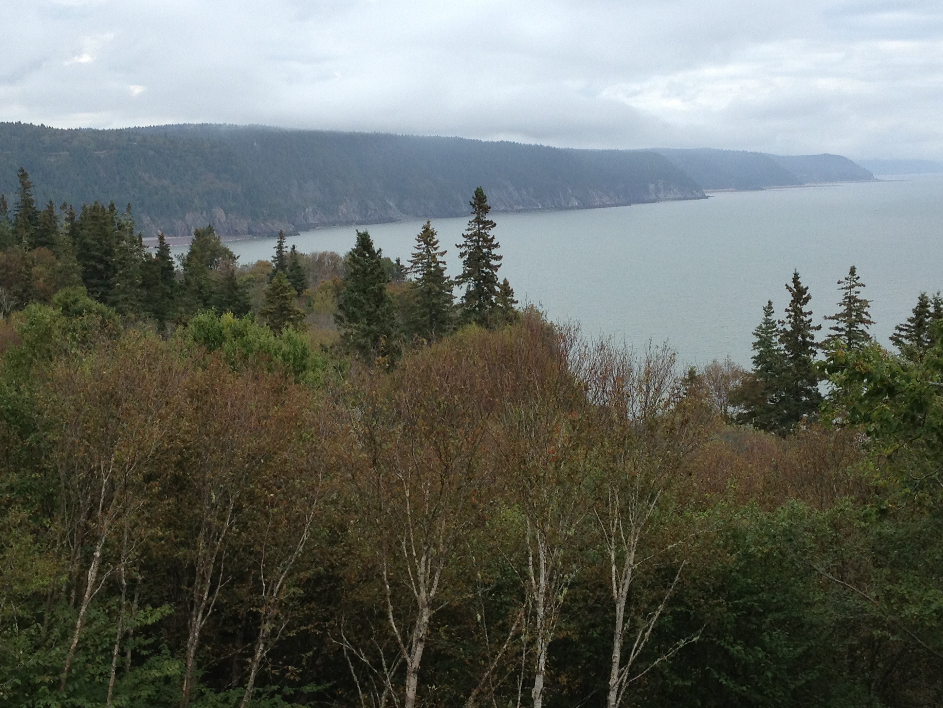 3920 - New Brunswick - Fundy Bay - small.jpg