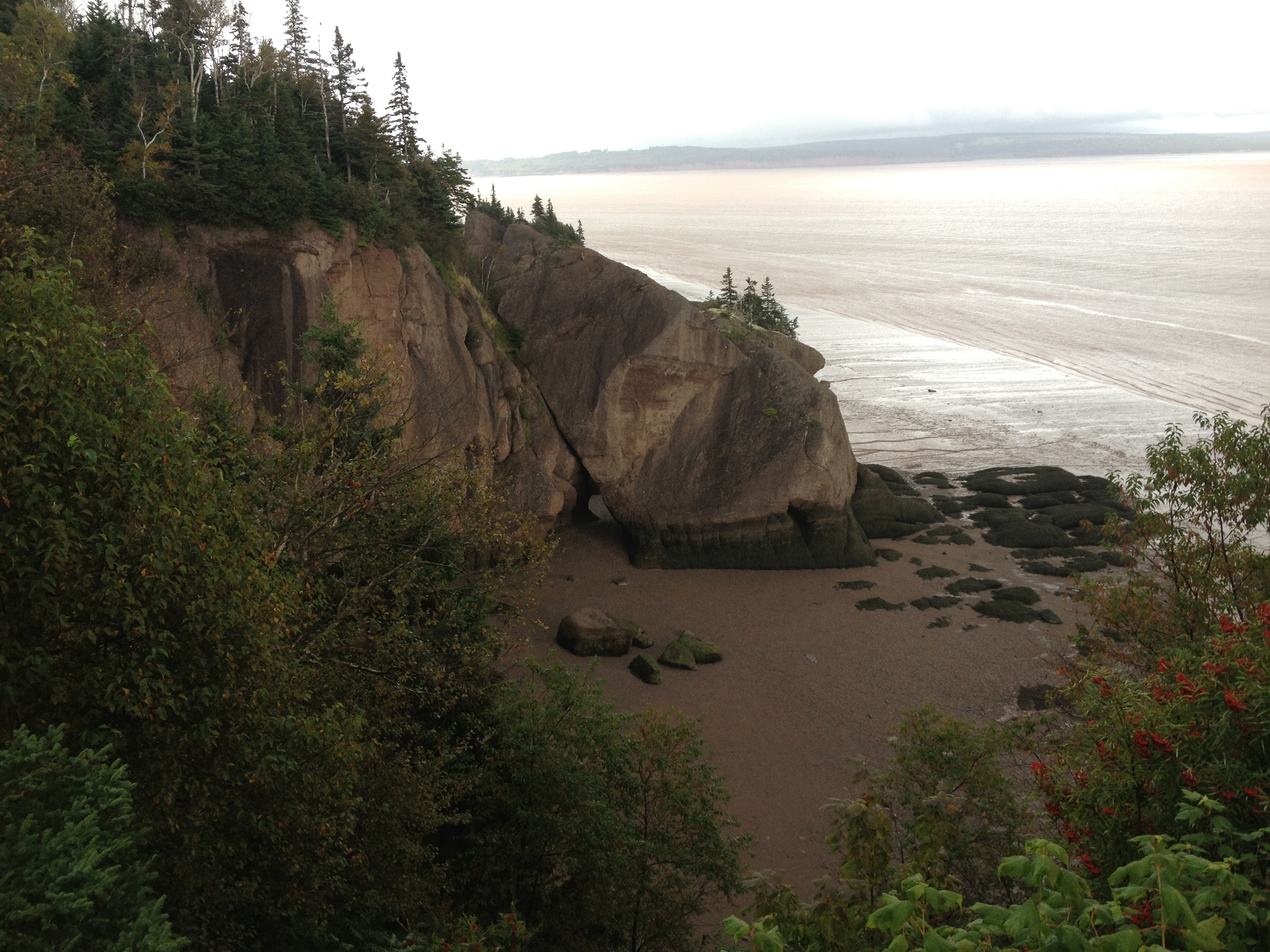 3963 - New Brunswick - Hopwell Rocks - small.jpg