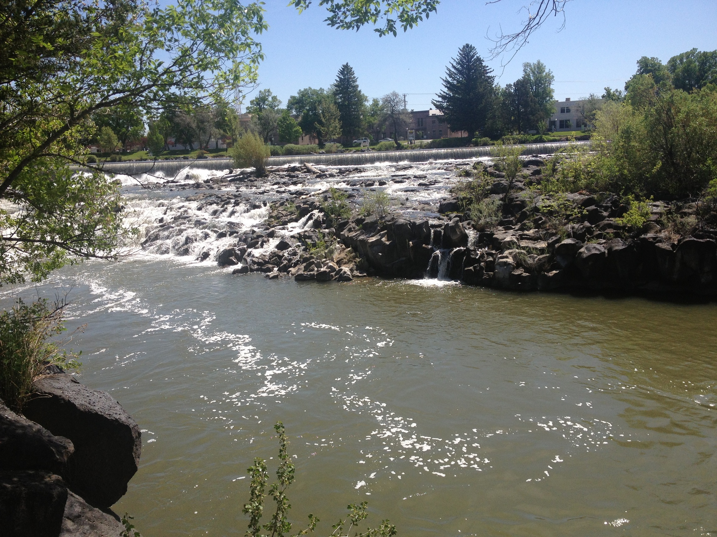 3965 - Idaho - Idaho Falls - small.jpg