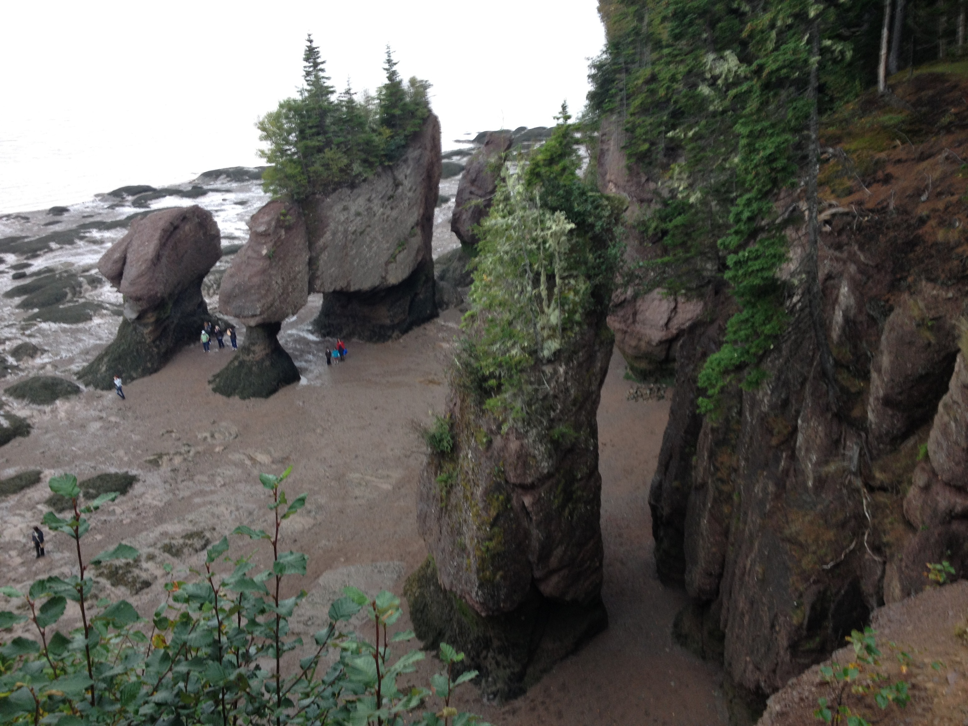 3972 - New Brunswick - Hopwell Rocks - small.jpg