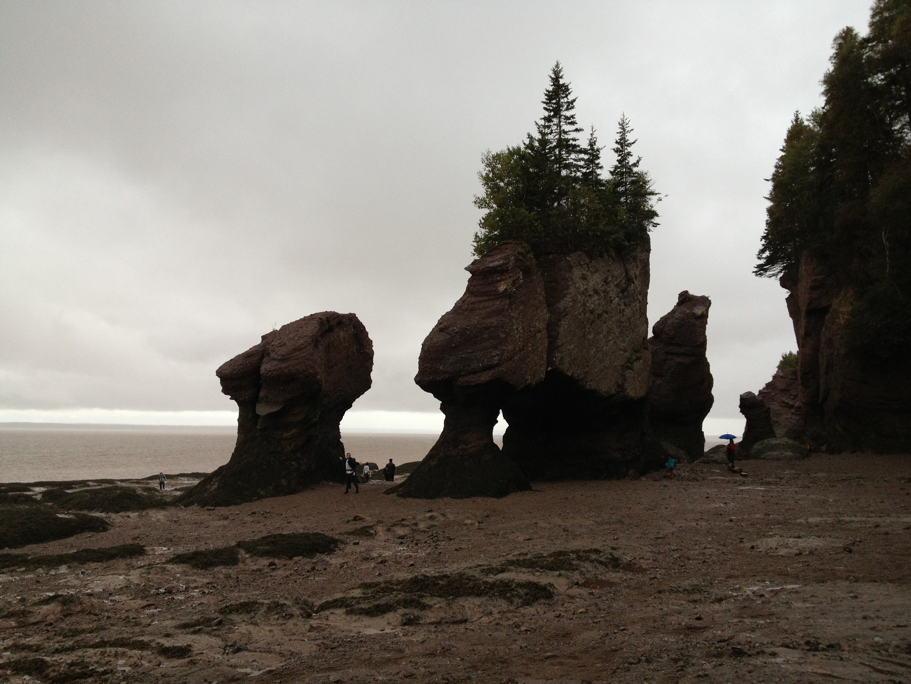 3976 - New Brunswick - Hopwell Rocks - small.jpg