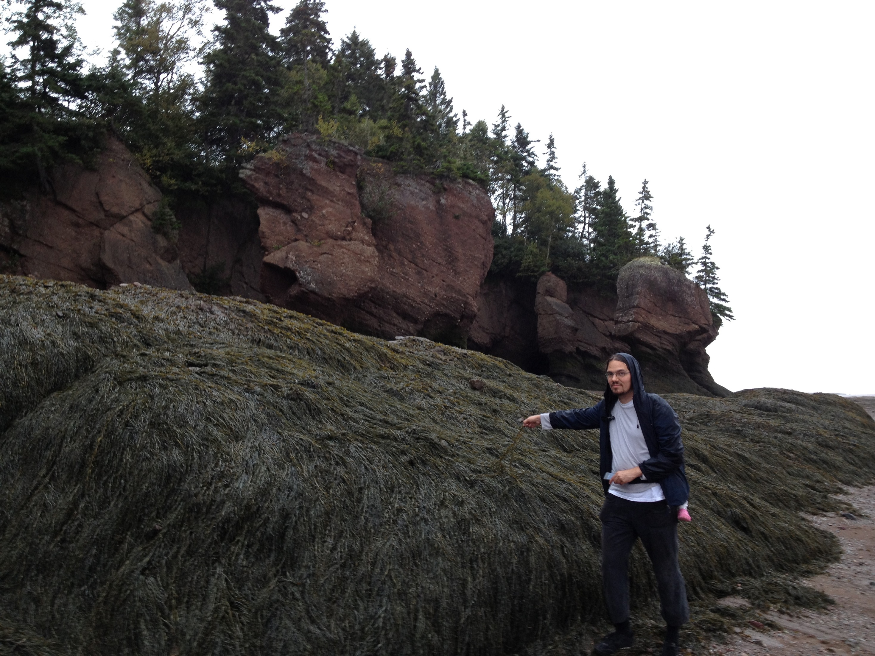 3984 - New Brunswick - Hopwell Rocks - small.jpg