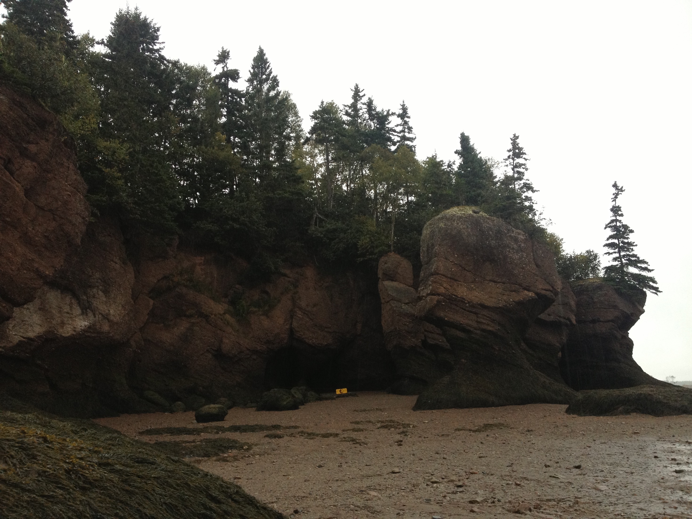 3986 - New Brunswick - Hopwell Rocks - small.jpg