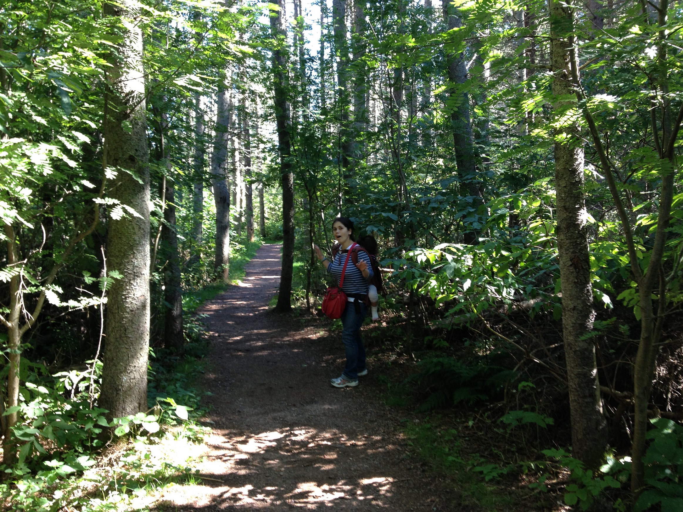 4289 - Prince Edward Island - Green Gables - small.jpg