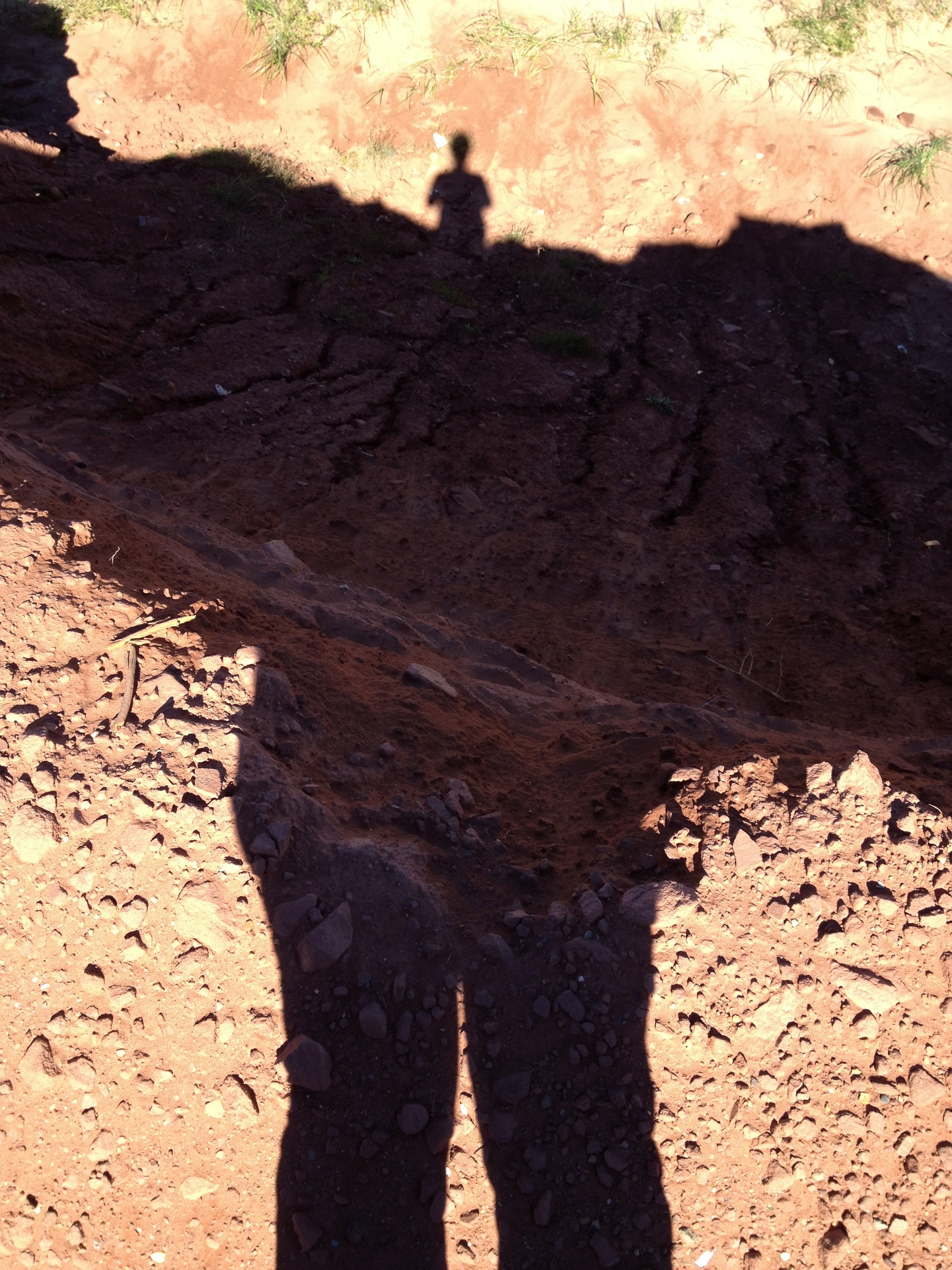 4335 - Prince Edward Island - small.jpg