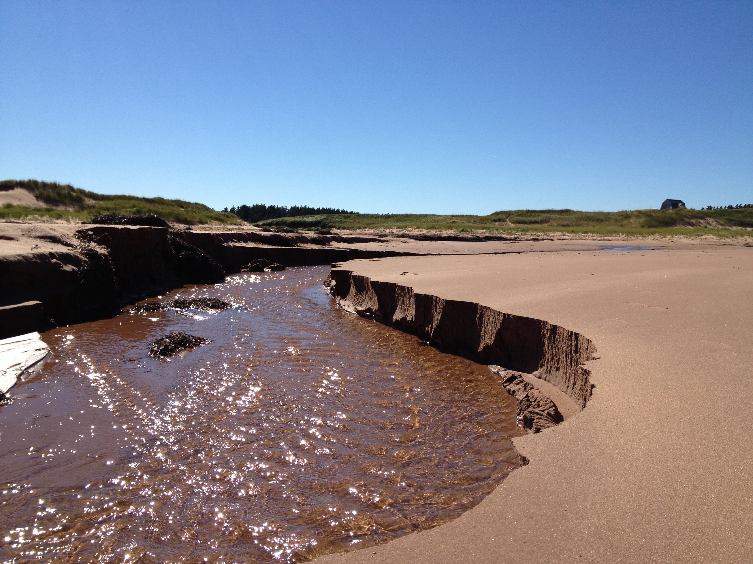 4348 - Prince Edward Island - small.jpg
