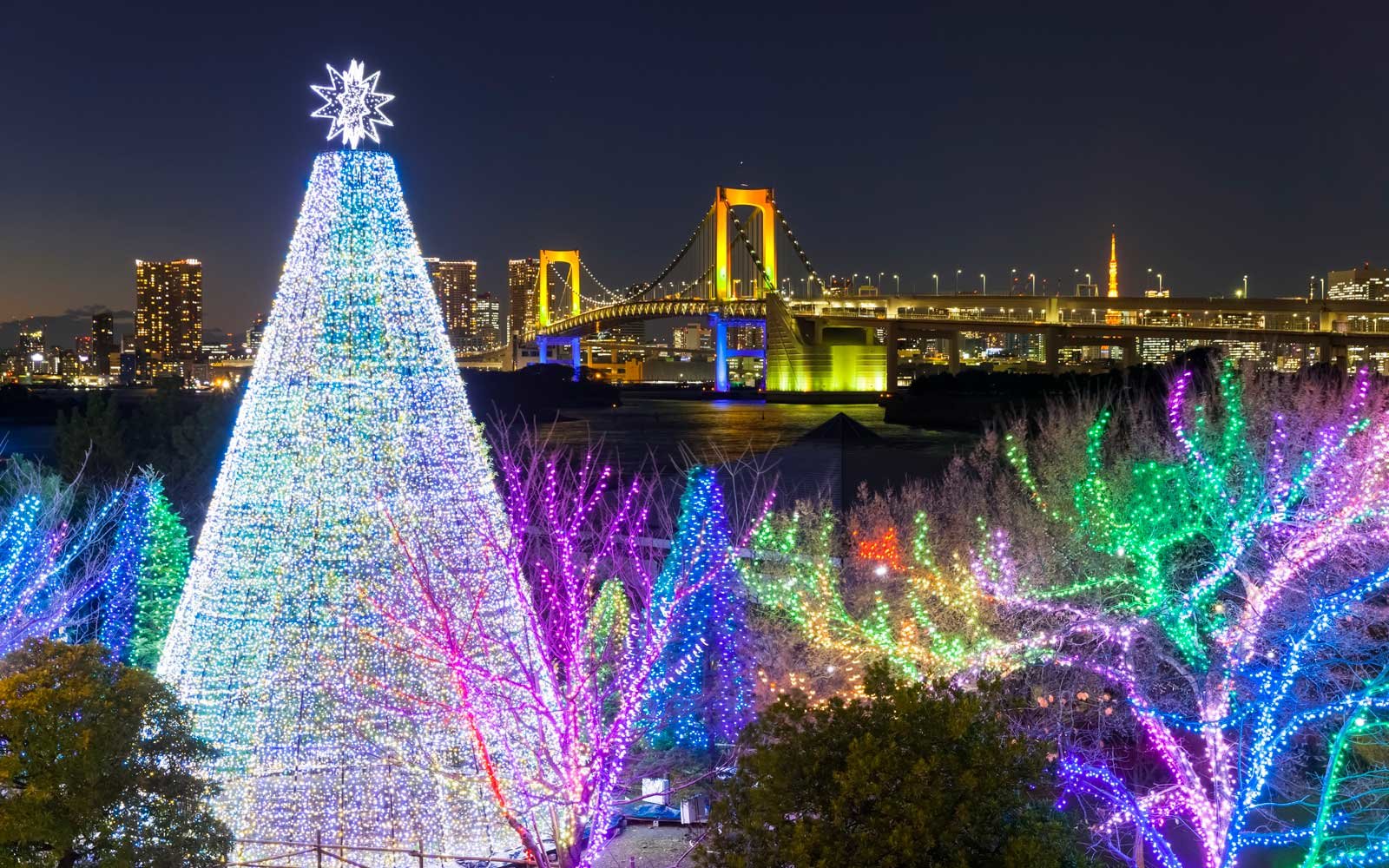 kanto-japan-christmas-tree-christmastrees1217.jpg