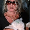 Brigitte Bardot a vágóhidakat támadja