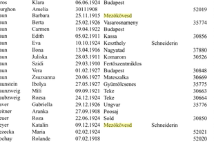 Zahava Szász Stessel Hóvirágok – magyar zsidó nők a Markkleebergben, egy repülőgépgyárban