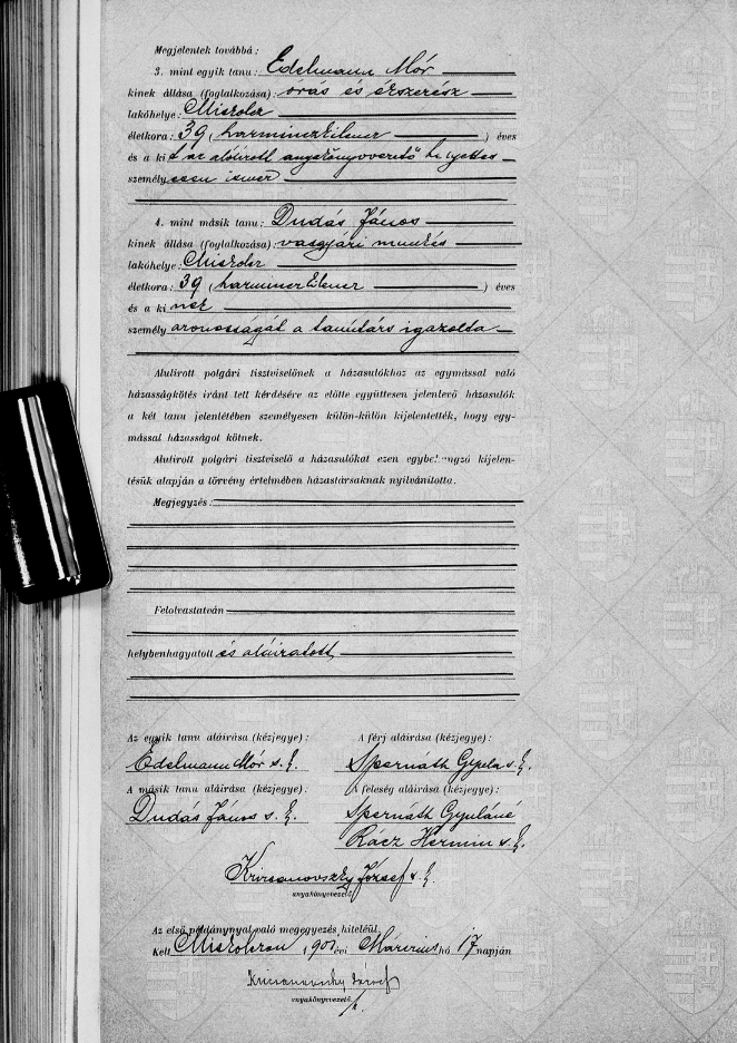 Spernáth Gyula házassági anyakönyve