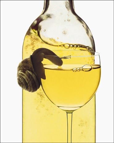 snail_wine.jpg