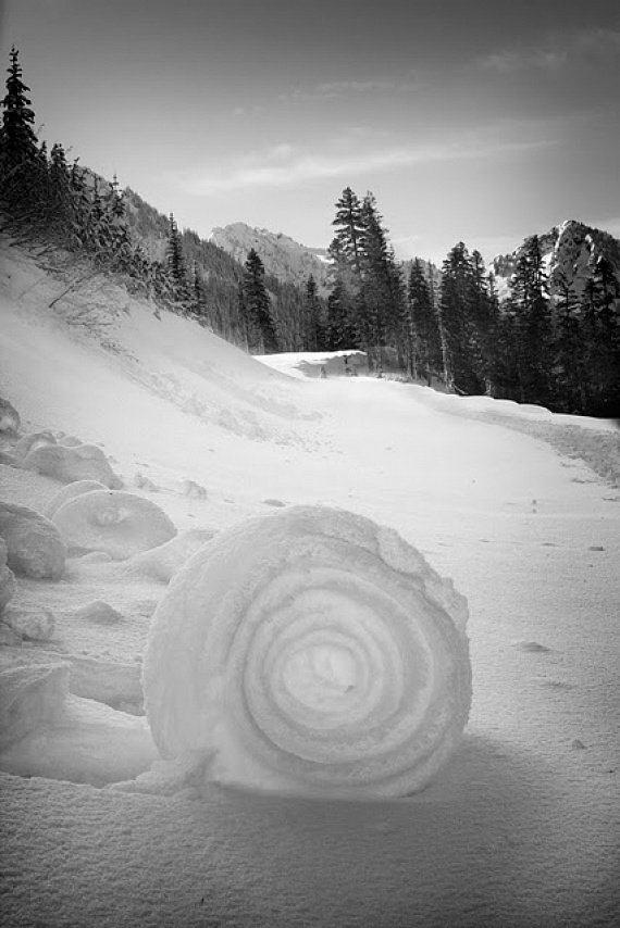 snowrollers4.jpg