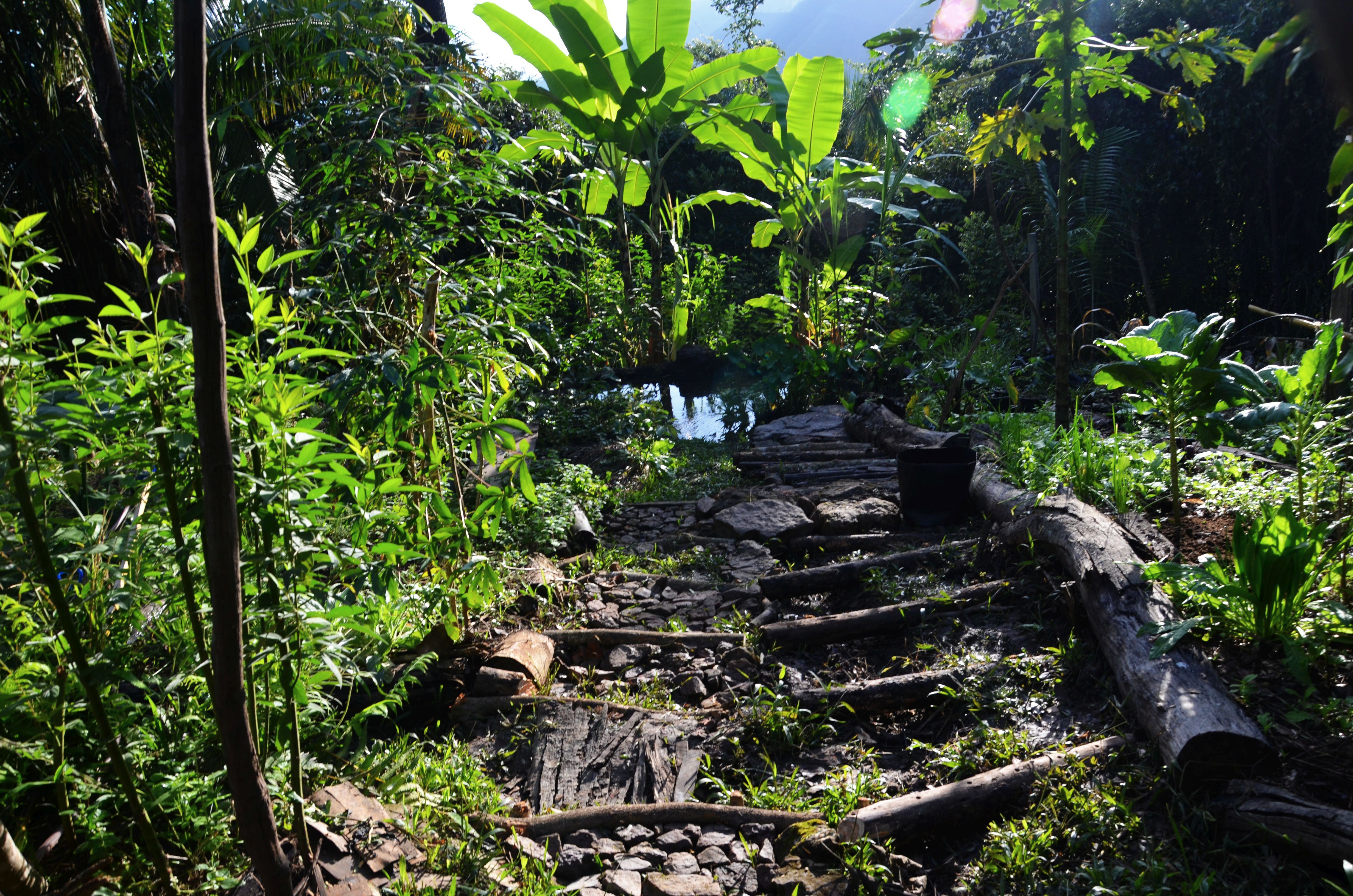 Megépített lépcsők az első kertben