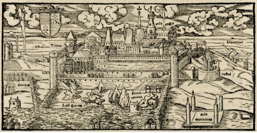 buda_zsigmond_kora.jpg