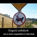 Hát ez egyértelmű jelentéssel bír...