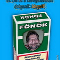 Főnök