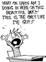 calvin18.gif