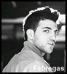 fabregas 2.jpg