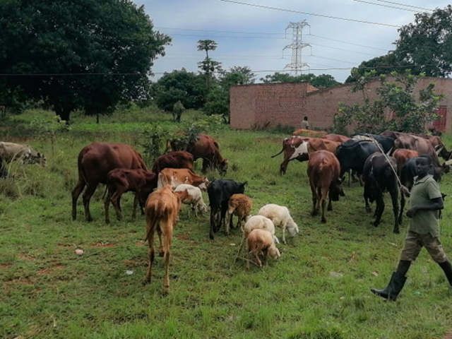UGANDAI ÚTINAPLÓ 7. RÉSZ