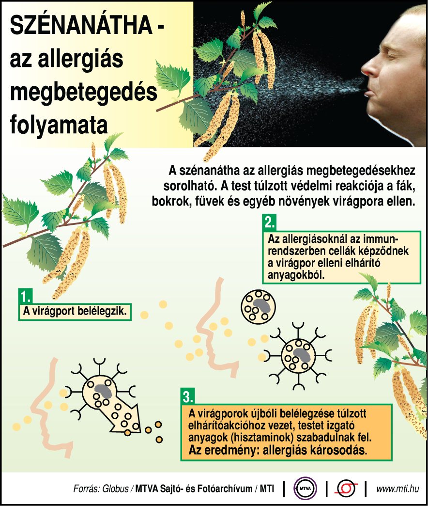 pollen2.jpg