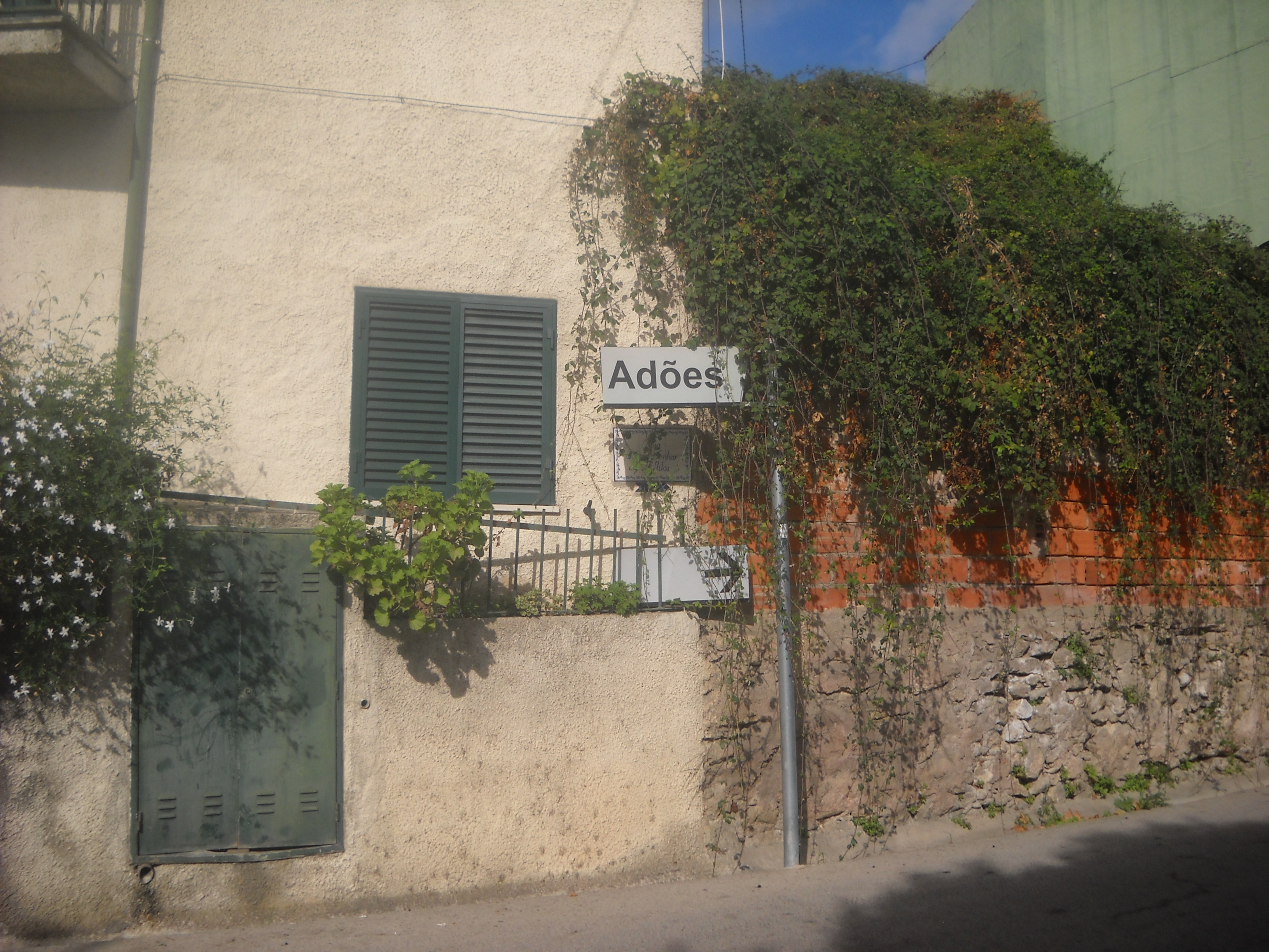 dscn1043.JPG