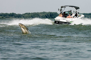 A HULLÁMKELTÉS OKOZTA KONFLIKTUSOK A TISZA-TAVON