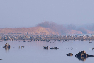 ÍGY ALAKUL A TISZA-TÓ TÉLI VÍZSZINTJE