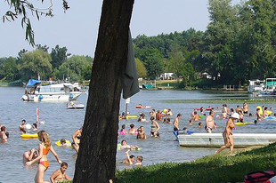 TISZA-TAVI STRANDMUSTRA: TISZAFÜRED