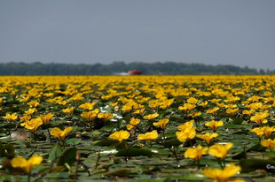 A TISZA-TÓ TÖRTÉNETE