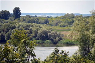 TUDOD-E, HOL FOLYIK VISSZAFELÉ A TISZA?