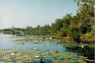 HOVÁ TŰNT A FALU A TISZA-TÓ SZIGETÉRŐL?