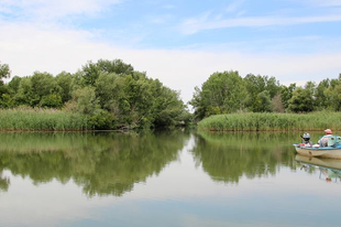 ÚJABB HORGÁSZHELYEKET ÉPÍTENEK A TISZA-TÓNÁL