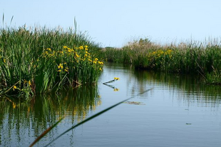 6 KIHAGYHATATLAN TAVASZI TISZA-TAVI PROGRAM