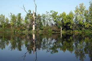 WONDERFULL WATER WORLD- THE LAKE-TISZA