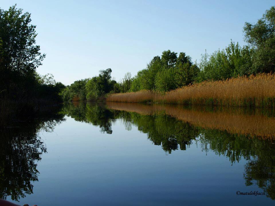 kis-tisza_matulokbacsi.jpg