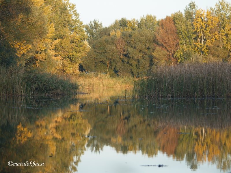 matulokb_holt_tisza_o.jpg