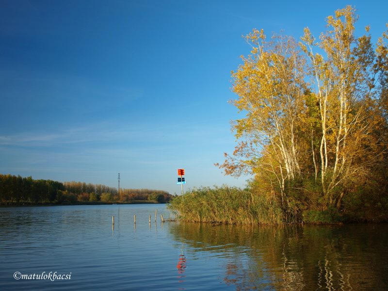 matulokb_tisza_4_ublito.jpg