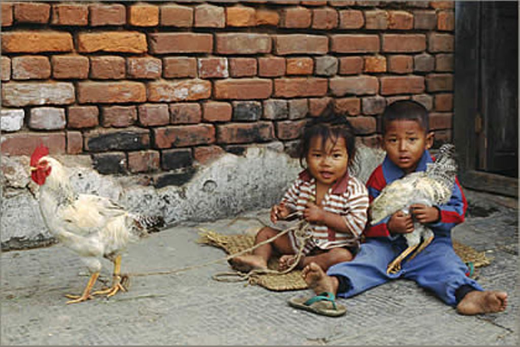 47_16_nepal_kathmandu.jpg