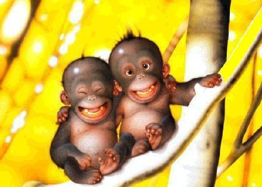 twins monkey.jpg