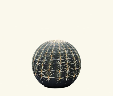 cactus04.jpg